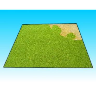 Übergangsplatte Wüste zu Gras #2