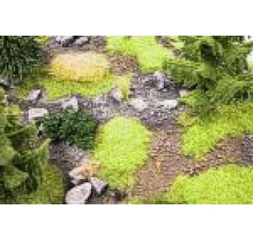 Geländestück Wald mit Bach