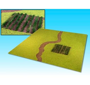 Grasfläche mit Weg & Feld (60 x 60 cm)