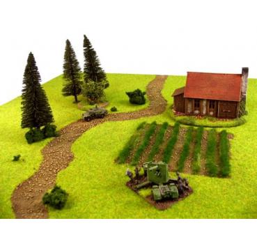 Grasfläche mit Weg & Feld (60 x 60 cm)