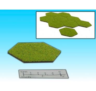 Sechseckfeld mit Gras