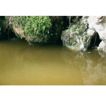 Vallejo Water Effects: Still Water Clear (200 ml)