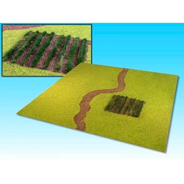 Grasfläche mit Weg & Feld (60 x 60 cm)