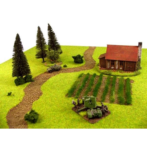 Grasfläche mit Weg & Feld (60 x 60 cm)